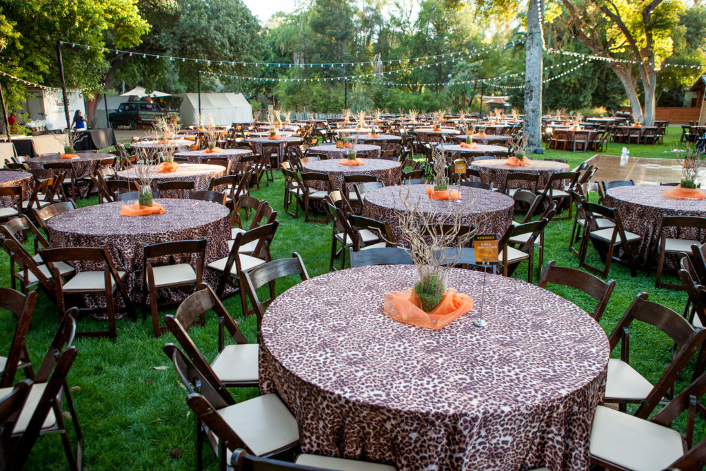 Safari Night - Fresno Chaffee Zoo