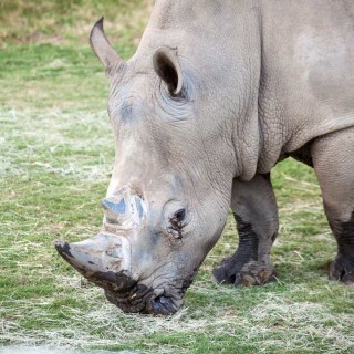 African Adventure - Fresno Chaffee Zoo