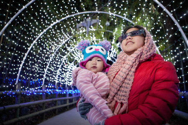 Zoo Lights with people - Fresno Chaffee Zoo