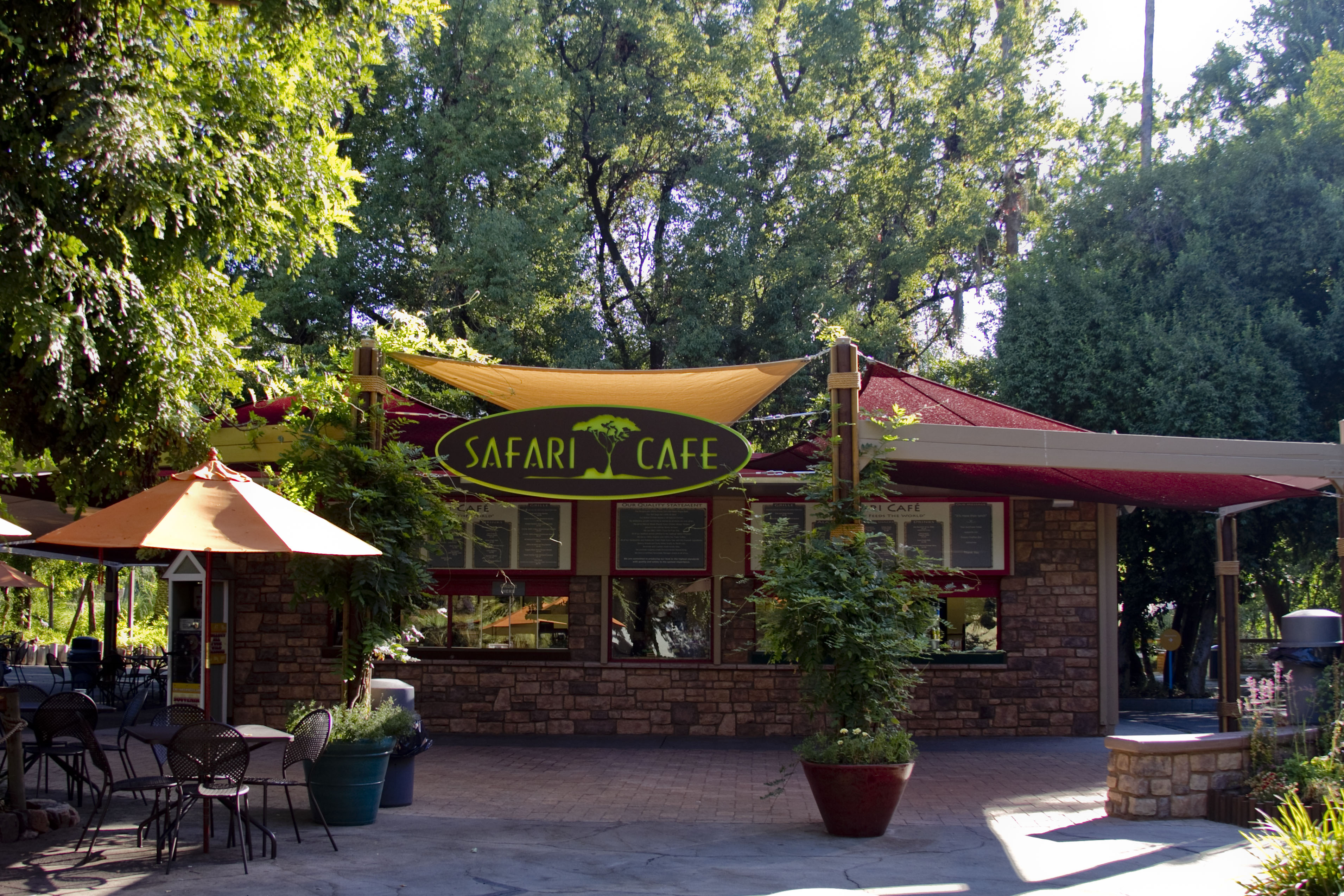 the safari cafe