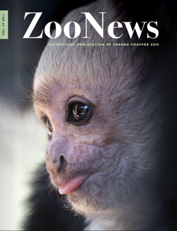 Zoo News - Fresno Chaffee Zoo