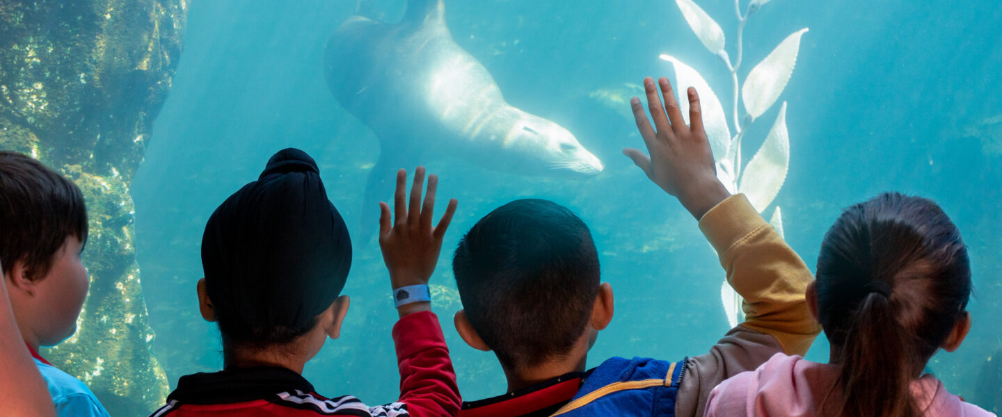 Choose Your Experience - Fresno Chaffee Zoo